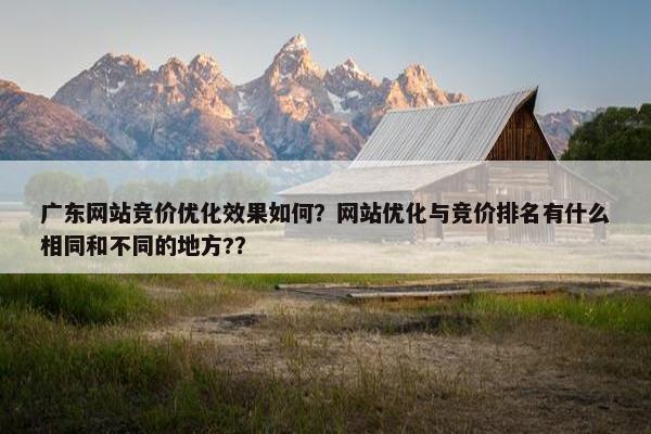 广东网站竞价优化效果如何？网站优化与竞价排名有什么相同和不同的地方?？