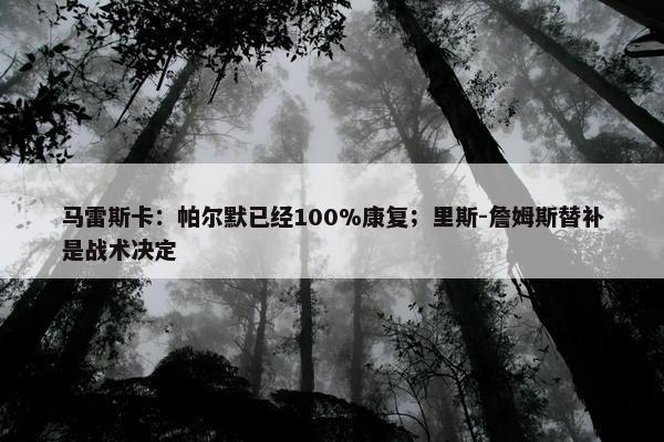 马雷斯卡：帕尔默已经100%康复；里斯-詹姆斯替补是战术决定