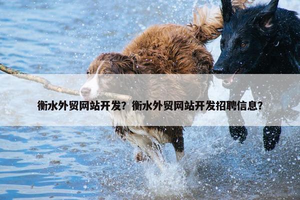 衡水外贸网站开发？衡水外贸网站开发招聘信息？