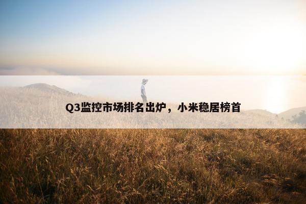 Q3监控市场排名出炉，小米稳居榜首