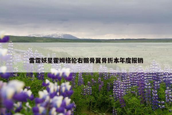 雷霆妖星霍姆格伦右髂骨翼骨折本年度报销