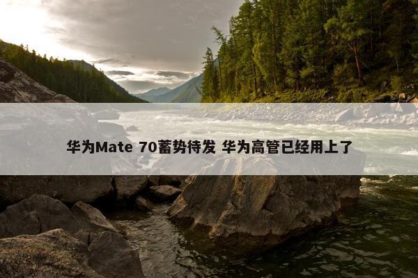 华为Mate 70蓄势待发 华为高管已经用上了