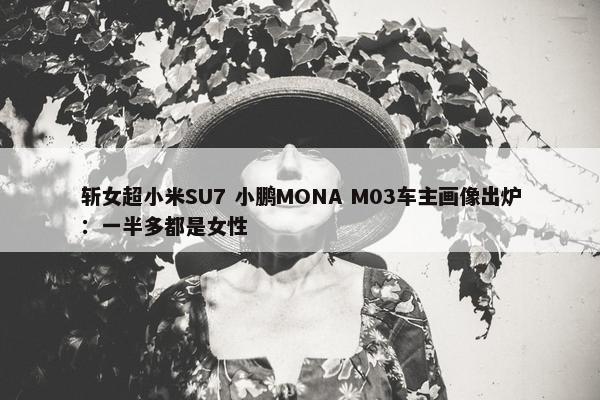 斩女超小米SU7 小鹏MONA M03车主画像出炉：一半多都是女性