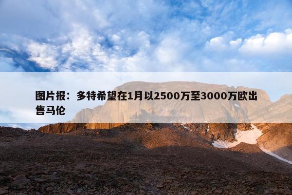 图片报：多特希望在1月以2500万至3000万欧出售马伦