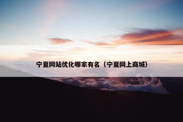 宁夏网站优化哪家有名（宁夏网上商城）