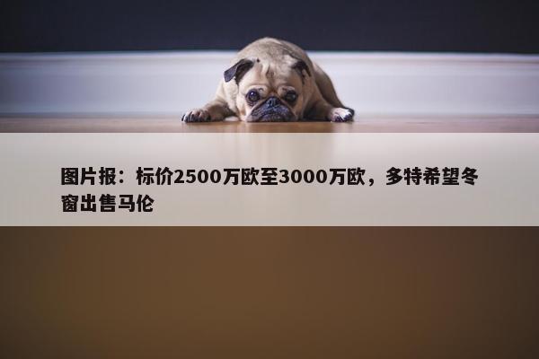 图片报：标价2500万欧至3000万欧，多特希望冬窗出售马伦