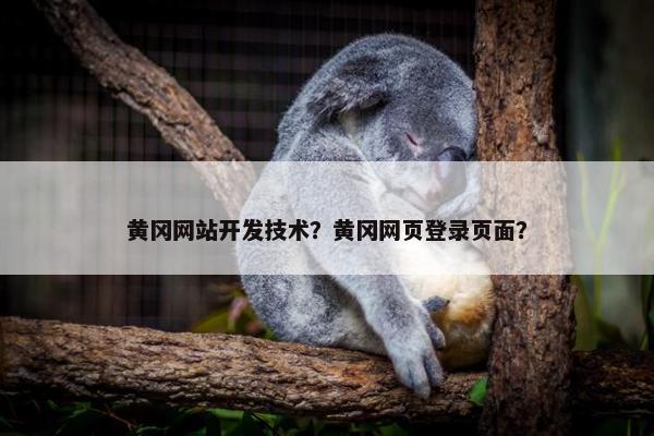 黄冈网站开发技术？黄冈网页登录页面？