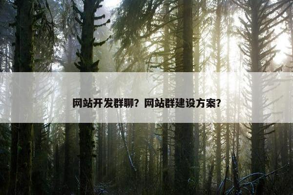 网站开发群聊？网站群建设方案？