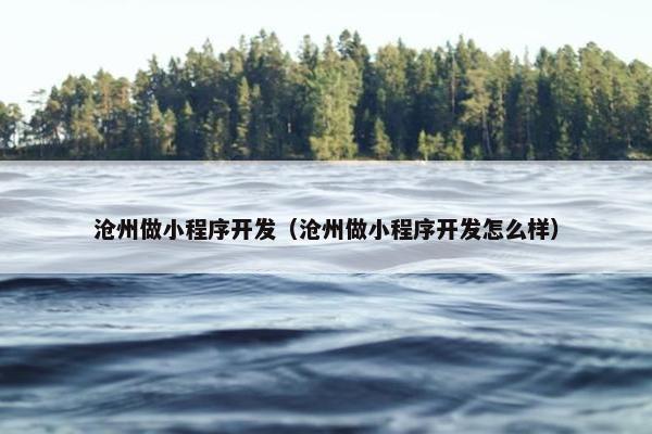 沧州做小程序开发（沧州做小程序开发怎么样）