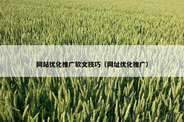 网站优化推广软文技巧（网址优化推广）