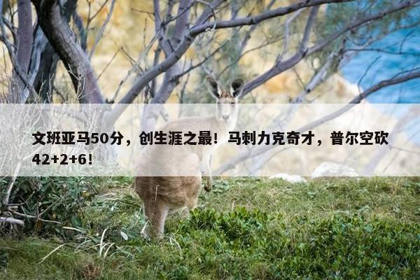 文班亚马50分，创生涯之最！马刺力克奇才，普尔空砍42+2+6！