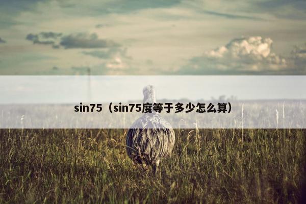 sin75（sin75度等于多少怎么算）