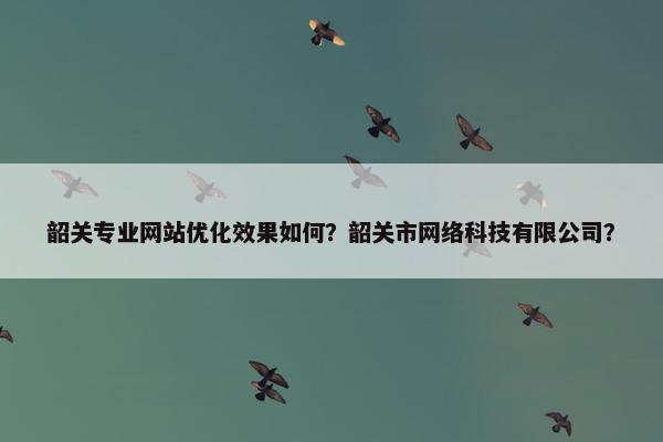 韶关专业网站优化效果如何？韶关市网络科技有限公司？