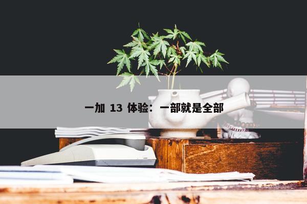 一加 13 体验：一部就是全部