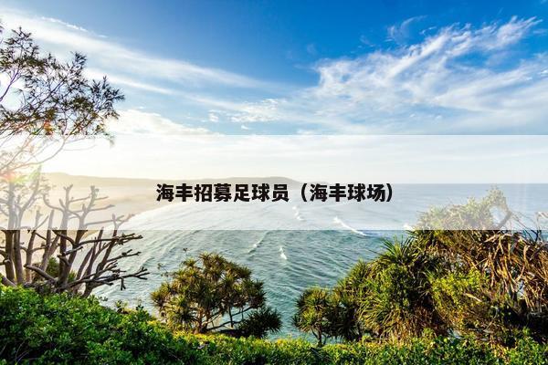 海丰招募足球员（海丰球场）