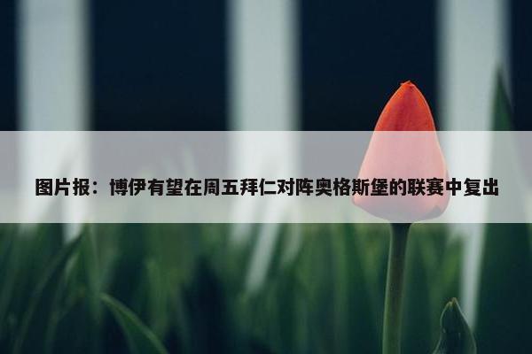 图片报：博伊有望在周五拜仁对阵奥格斯堡的联赛中复出