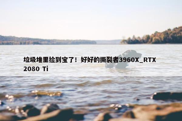 垃圾堆里捡到宝了！好好的撕裂者3960X_RTX 2080 Ti