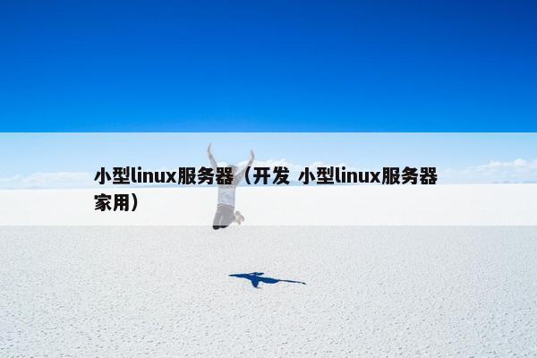 小型linux服务器（开发 小型linux服务器 家用）