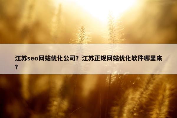 江苏seo网站优化公司？江苏正规网站优化软件哪里来？