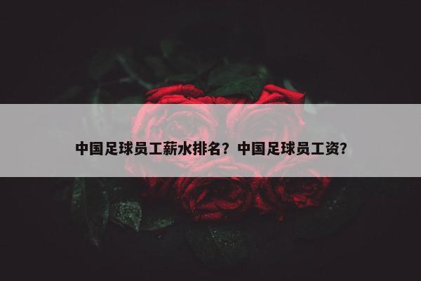 中国足球员工薪水排名？中国足球员工资？