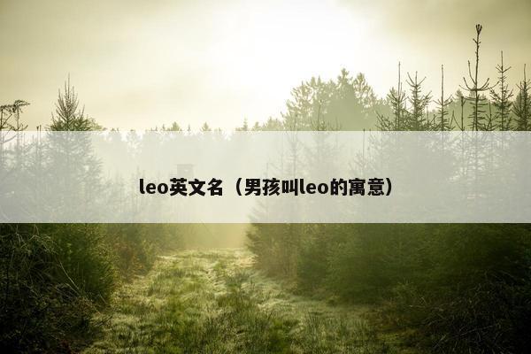 leo英文名（男孩叫leo的寓意）