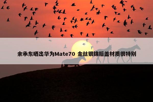 余承东晒出华为Mate70 金丝银锦后盖材质很特别