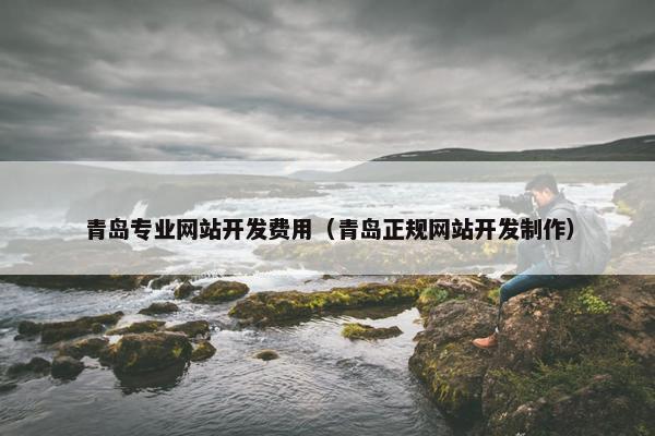 青岛专业网站开发费用（青岛正规网站开发制作）