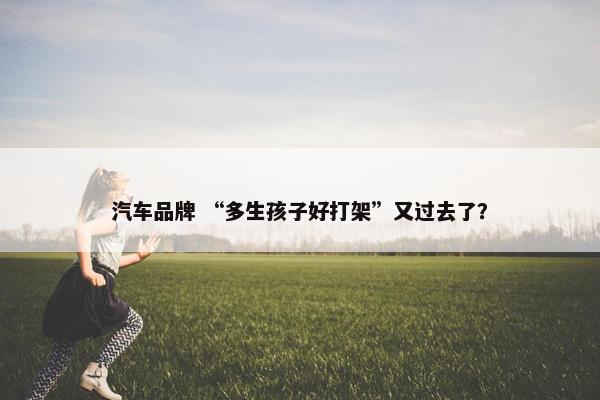 汽车品牌 “多生孩子好打架”又过去了？