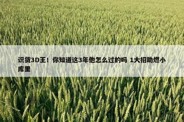 识货3D王！你知道这3年他怎么过的吗 1大招助燃小库里