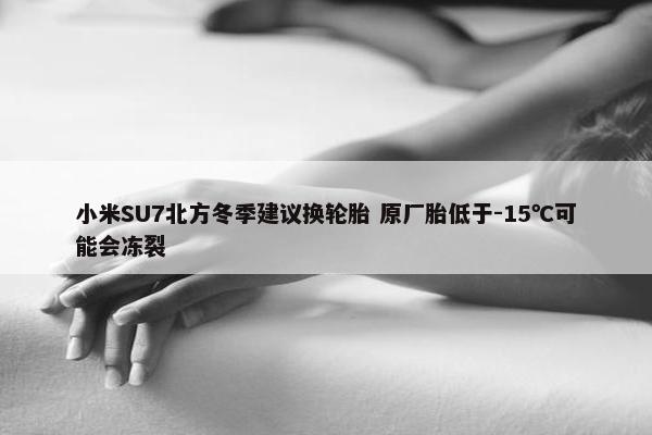 小米SU7北方冬季建议换轮胎 原厂胎低于-15℃可能会冻裂