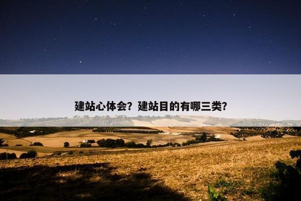 建站心体会？建站目的有哪三类？