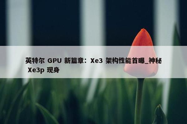 英特尔 GPU 新篇章：Xe3 架构性能首曝_神秘 Xe3p 现身