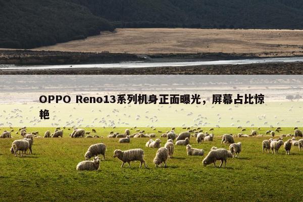 OPPO Reno13系列机身正面曝光，屏幕占比惊艳