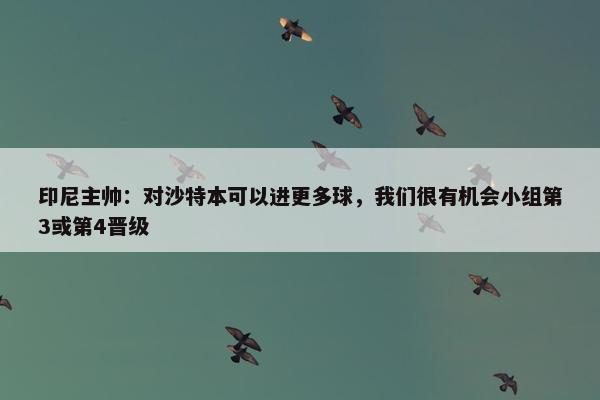 印尼主帅：对沙特本可以进更多球，我们很有机会小组第3或第4晋级