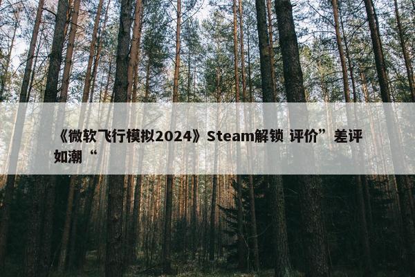 《微软飞行模拟2024》Steam解锁 评价”差评如潮“