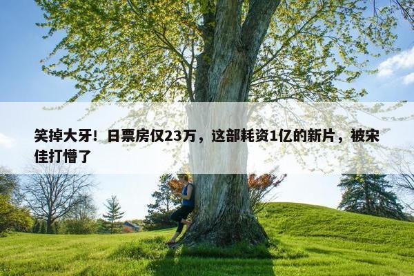 笑掉大牙！日票房仅23万，这部耗资1亿的新片，被宋佳打懵了