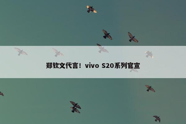 郑钦文代言！vivo S20系列官宣