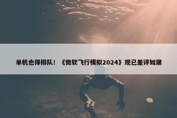 单机也得排队！《微软飞行模拟2024》现已差评如潮