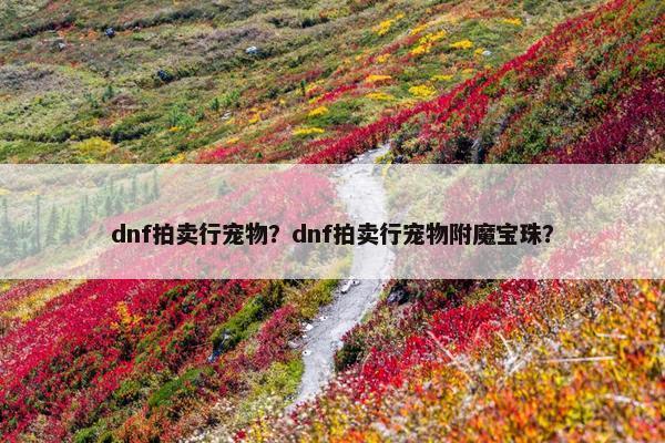 dnf拍卖行宠物？dnf拍卖行宠物附魔宝珠？