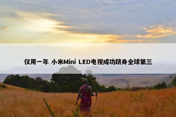 仅用一年 小米Mini LED电视成功跻身全球第三