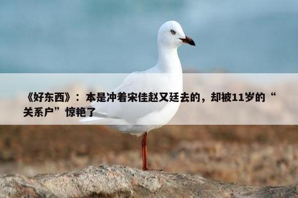 《好东西》：本是冲着宋佳赵又廷去的，却被11岁的“关系户”惊艳了