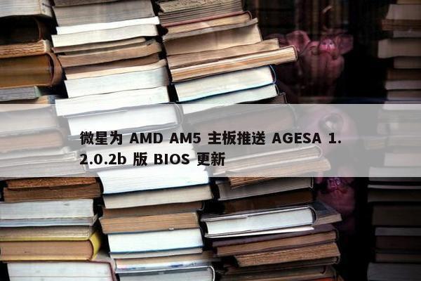 微星为 AMD AM5 主板推送 AGESA 1.2.0.2b 版 BIOS 更新