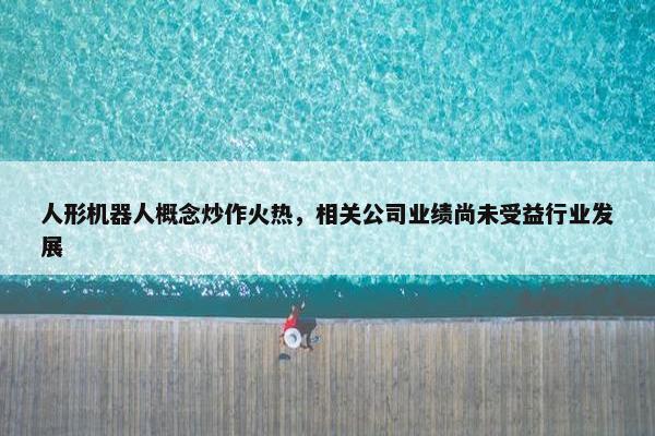 人形机器人概念炒作火热，相关公司业绩尚未受益行业发展