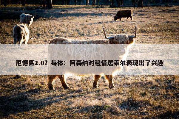 厄德高2.0？每体：阿森纳对租借居莱尔表现出了兴趣