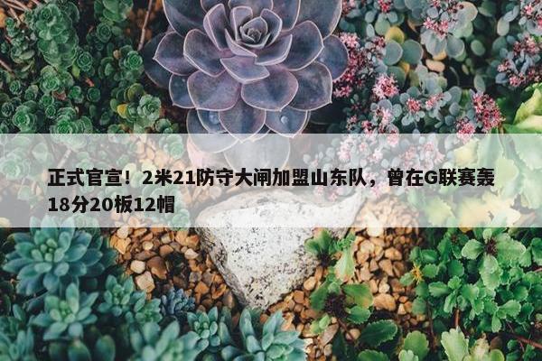 正式官宣！2米21防守大闸加盟山东队，曾在G联赛轰18分20板12帽