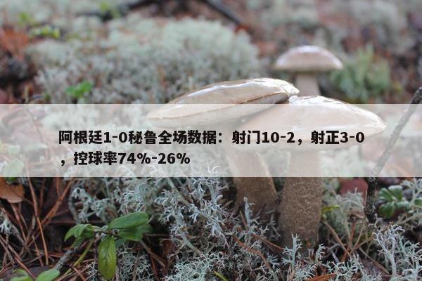 阿根廷1-0秘鲁全场数据：射门10-2，射正3-0，控球率74%-26%