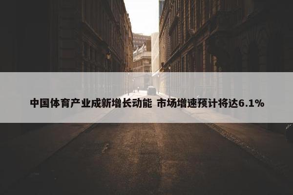 中国体育产业成新增长动能 市场增速预计将达6.1%