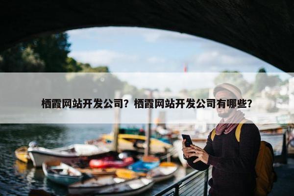 栖霞网站开发公司？栖霞网站开发公司有哪些？