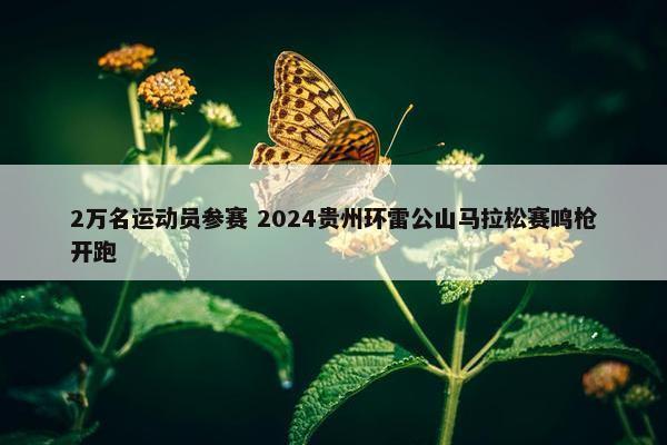 2万名运动员参赛 2024贵州环雷公山马拉松赛鸣枪开跑