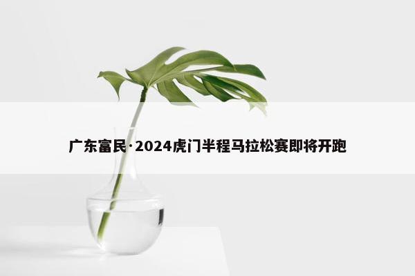 广东富民·2024虎门半程马拉松赛即将开跑